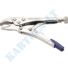 Locking pliers | mini | 100 mm (505)